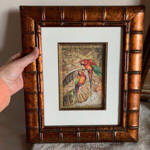 Tropical Framed Bird/Parrot Print Artwork by Steve Butler Key West/Tommy Bahama